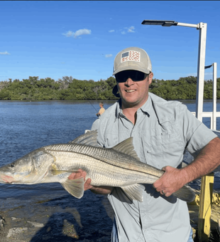 Florida Fishing Charters, Caught Snook today 